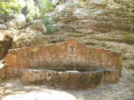 arbuda-270609 (22).html